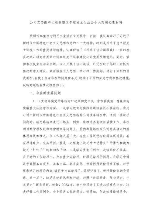 2024年公司党委副书记巡察整改专题民主生活会个人对照检查材料.docx