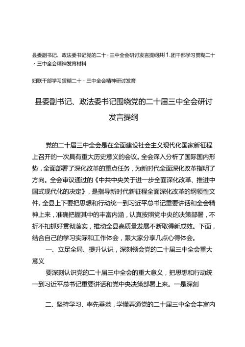 县委副书记、政法委书记、共青团干部、妇联干部围绕党的二十三中全会研讨发言提纲.docx