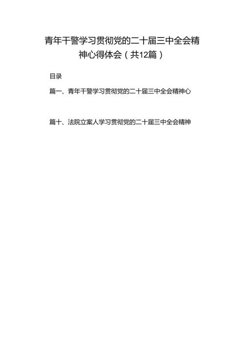 青年干警学习贯彻党的二十三中全会精神心得体会12篇（最新版）.docx