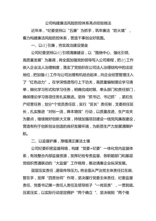公司构建廉洁风险防控体系亮点经验做法.docx