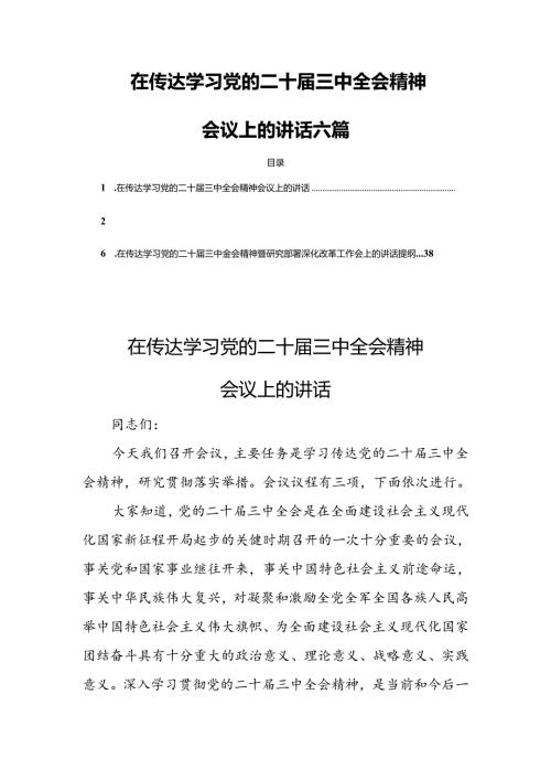 在传达学习党的二十三中全会精神会议上的讲话 六篇.docx