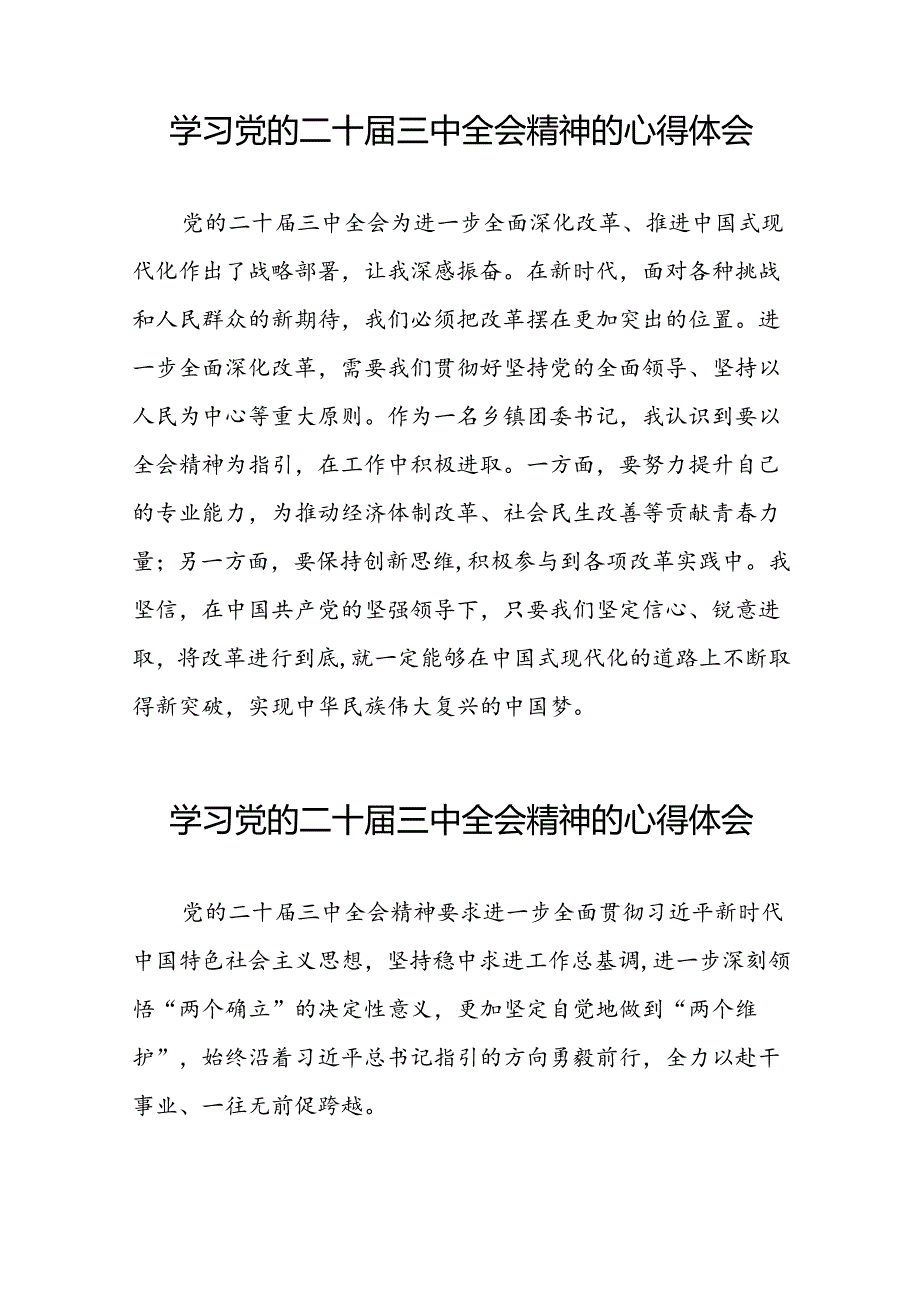 学习二十三中全会心得感悟发言材料二十七篇.docx_第3页