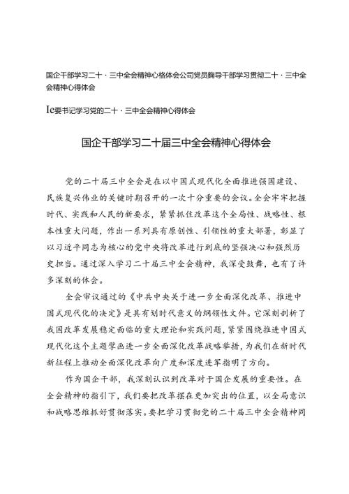 国企干部、公司党员、纪委书记学习二十三中全会精神心得体会.docx