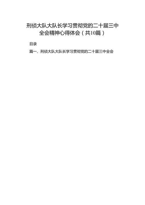 刑侦大队大队长学习贯彻党的二十三中全会精神心得体会（共10篇）.docx
