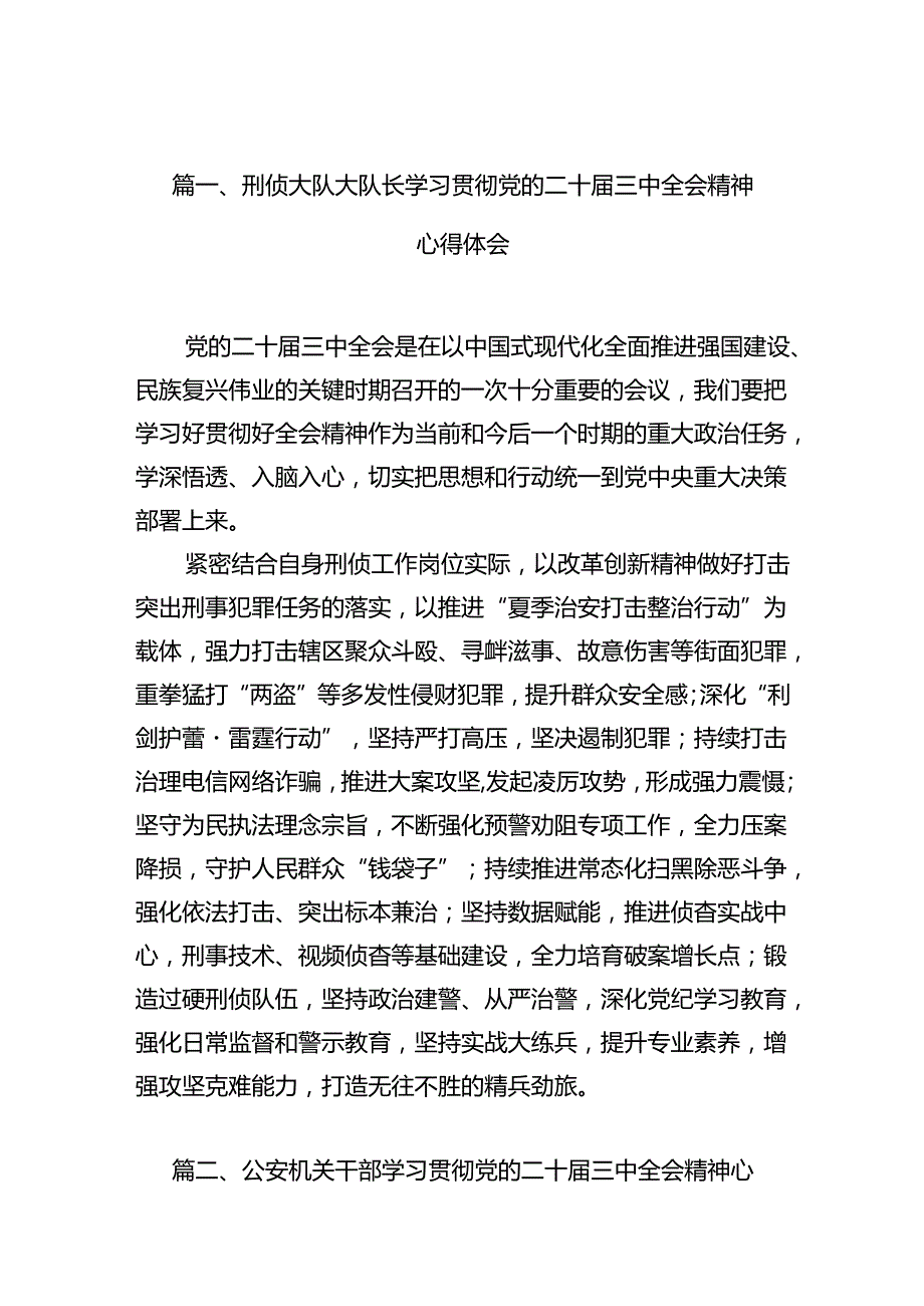 刑侦大队大队长学习贯彻党的二十三中全会精神心得体会（共10篇）.docx_第2页