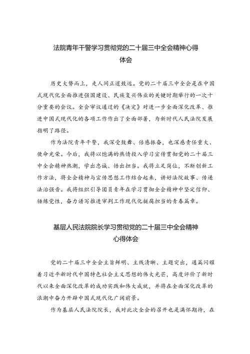 法院青年干警学习贯彻党的二十三中全会精神心得体会优选8篇.docx