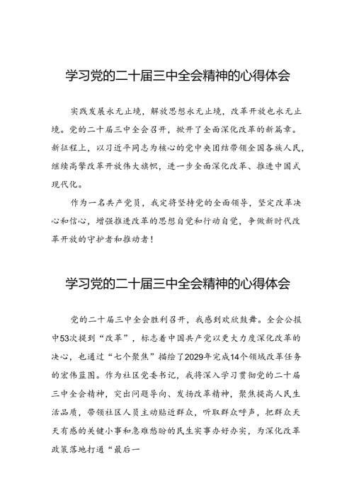 学习党的二十三中全会精神的心得感悟发言材料四十四篇.docx