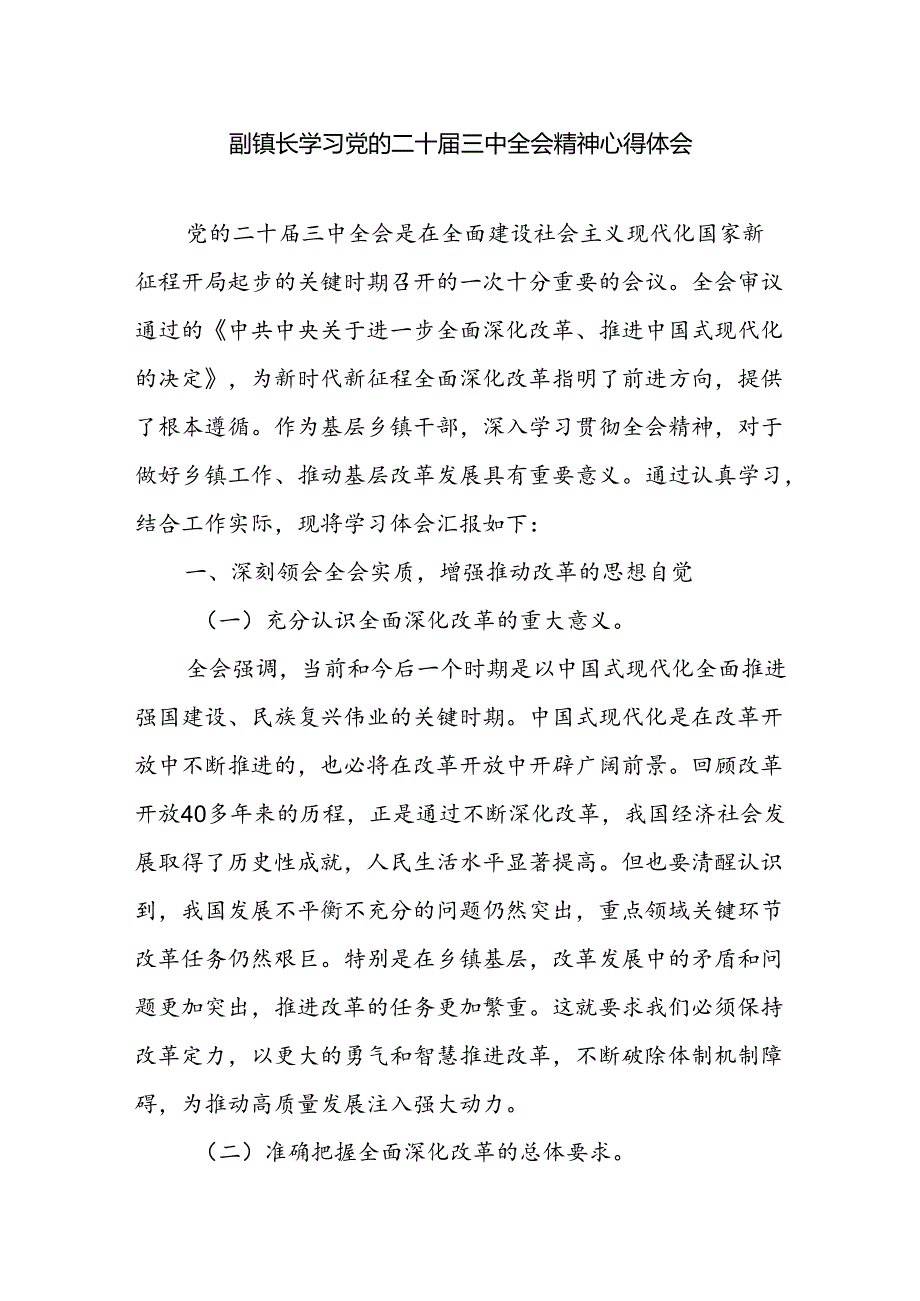 副镇长学习党的二十三中全会精神心得体会感想研讨发言.docx_第1页
