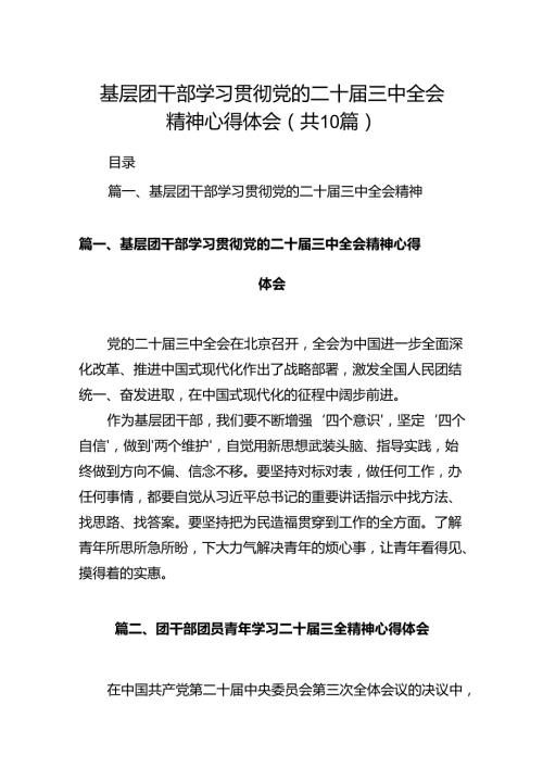 基层团干部学习贯彻党的二十三中全会精神心得体会10篇专题资料.docx