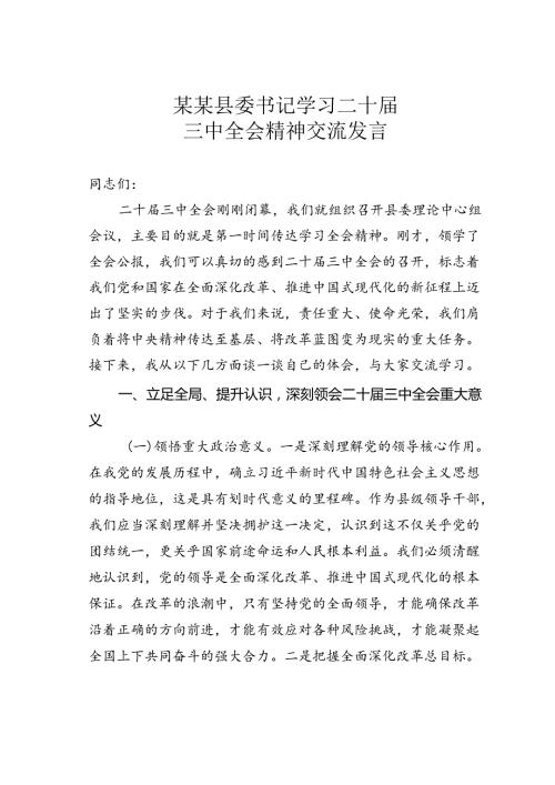 某某县委书记学习二十三中全会精神交流发言.docx