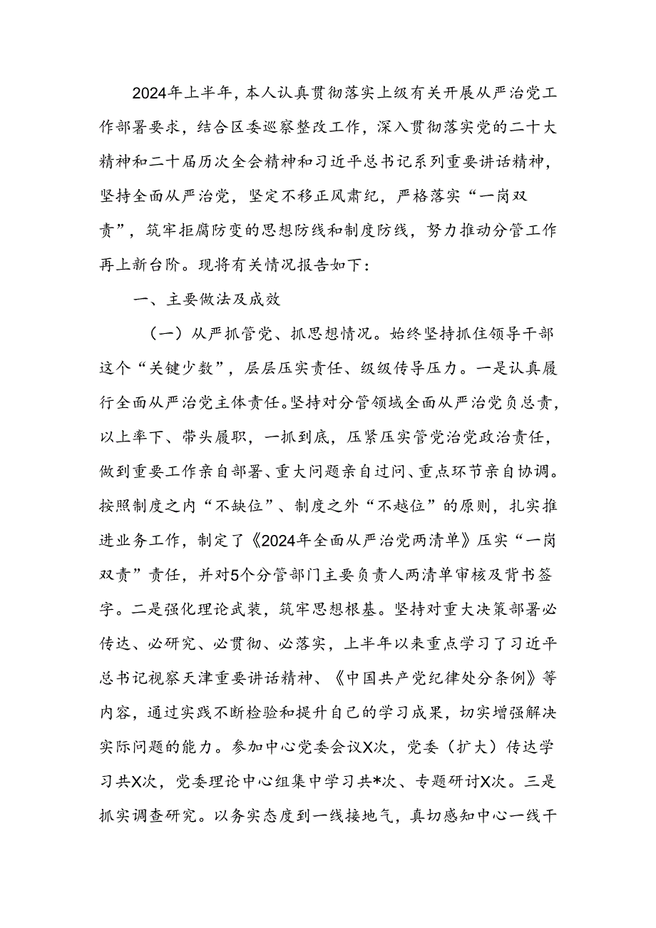 分管领导2024年上半年履行全面从严治党主体责任工作情况报告.docx_第1页