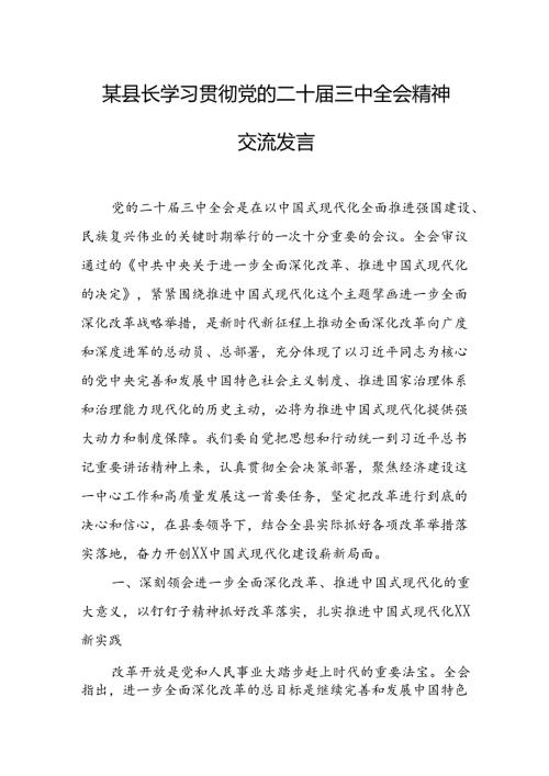 某县长学习贯彻党的二十三中全会精神交流发言.docx