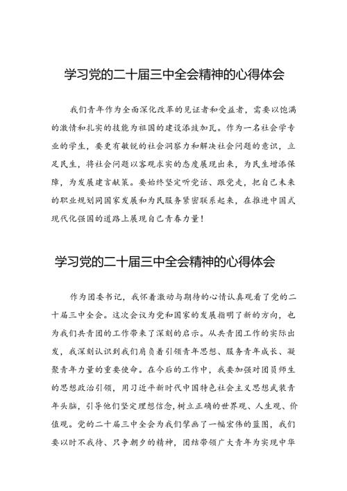 学习贯彻二十三中全会精神的心得体会范文三十篇.docx