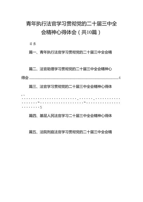青年执行法官学习贯彻党的二十三中全会精神心得体会（共10篇）.docx