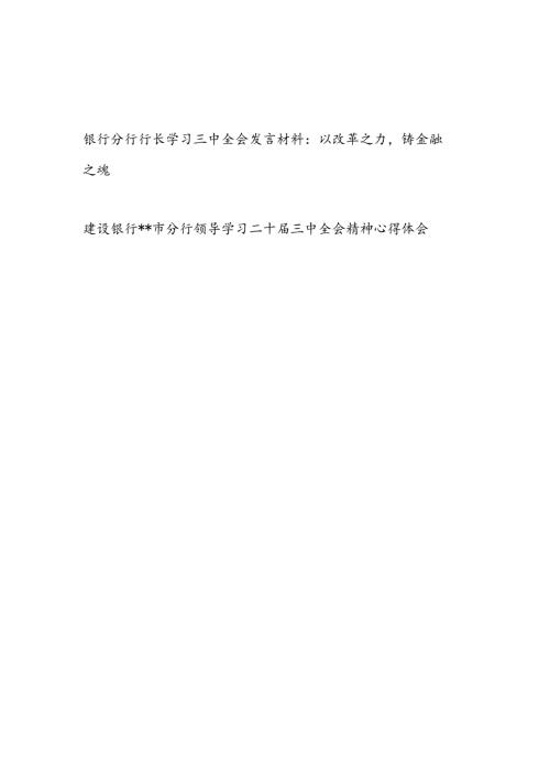 银行分行行长领导学习党的二十三中全会精神研讨发言材料心得体会2篇.docx