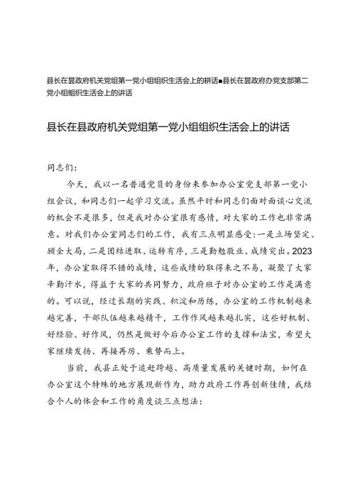 县长在县政府机关党组第一党小组第二小组组织生活会上的讲话.docx