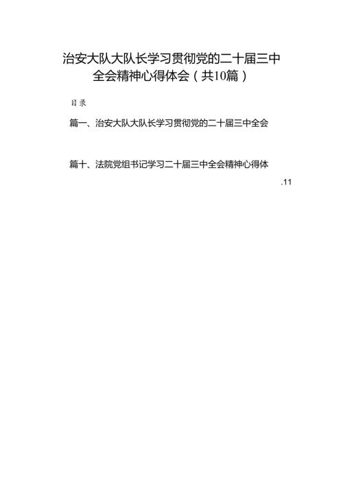 治安大队大队长学习贯彻党的二十三中全会精神心得体会10篇（精选）.docx
