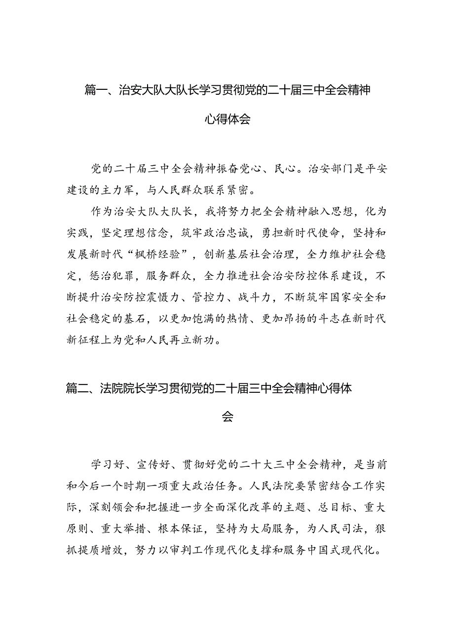 治安大队大队长学习贯彻党的二十三中全会精神心得体会10篇（精选）.docx_第2页