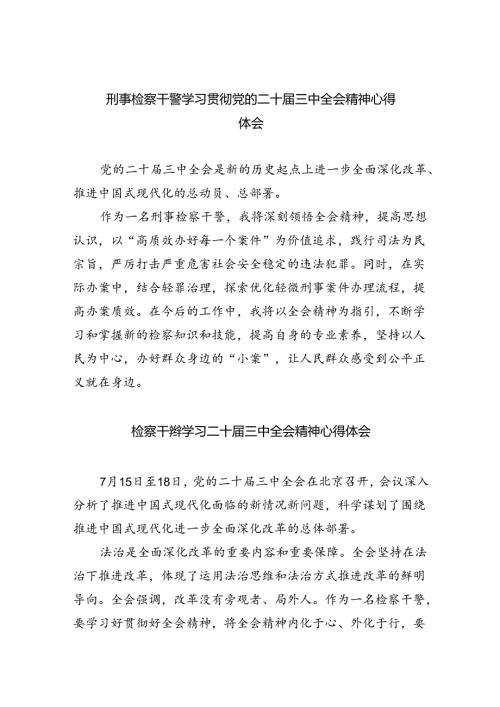 刑事检察干警学习贯彻党的二十三中全会精神心得体会5篇（精选版）.docx