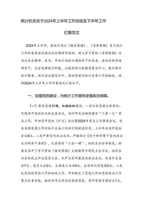 统计机关关于2024年上半年工作总结及下半年工作打算范文.docx