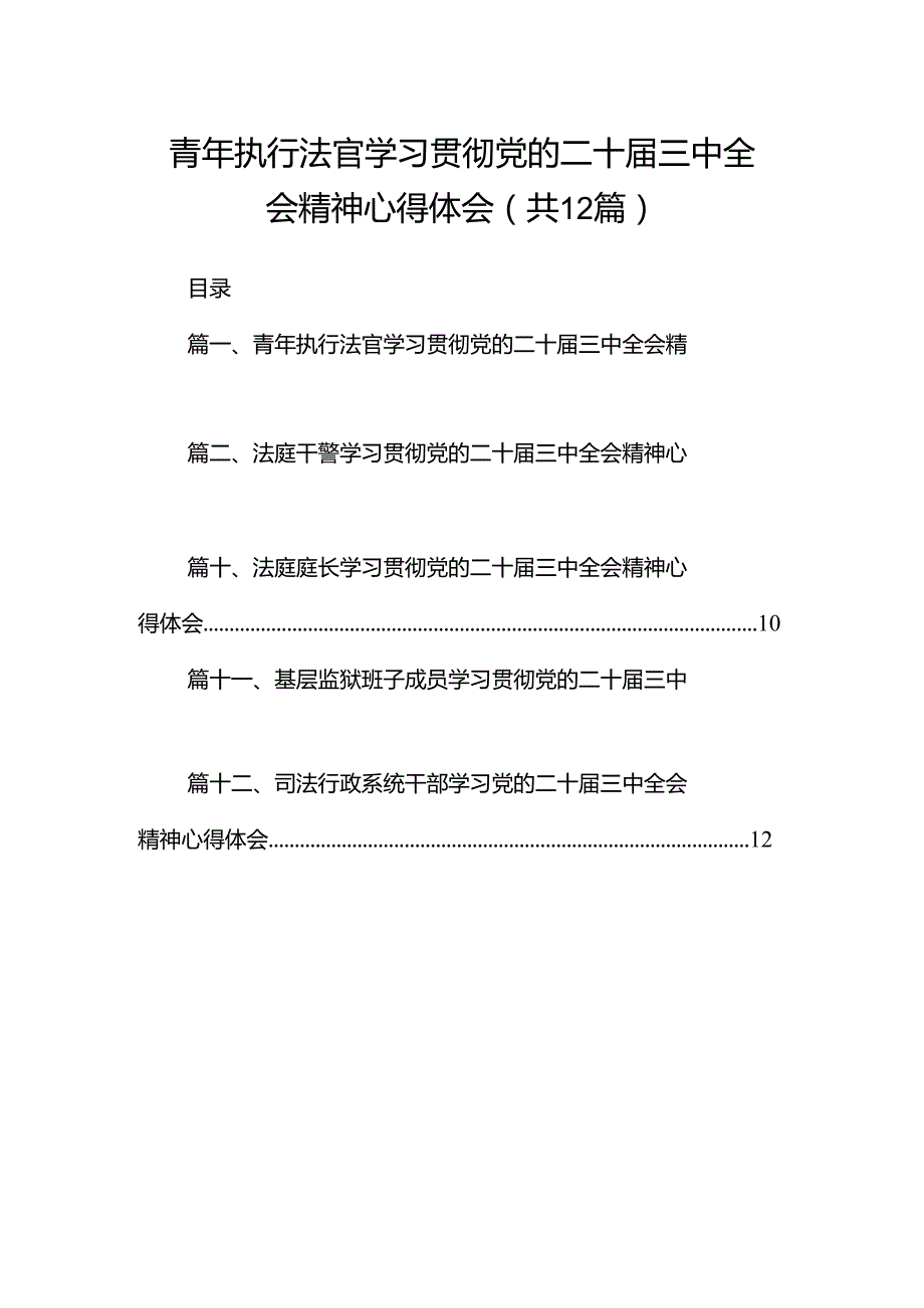 青年执行法官学习贯彻党的二十三中全会精神心得体会12篇（精选）.docx_第1页