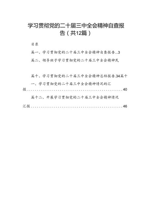 （12篇）学习贯彻党的二十三中全会精神自查报告范文.docx