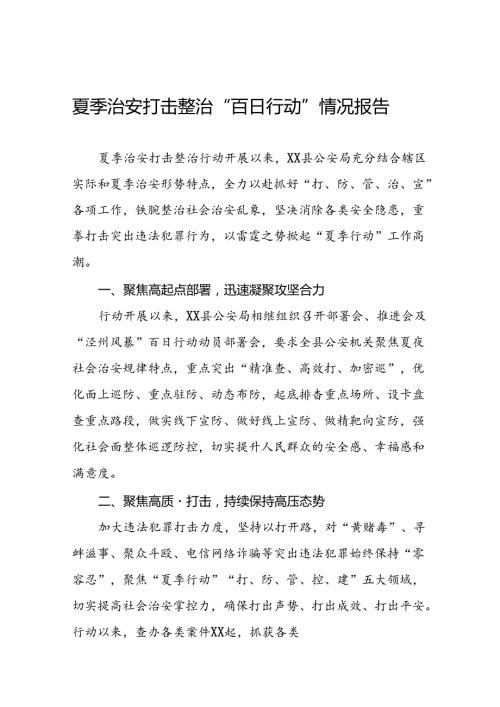 县公安2024夏季治安打击整治行动工作总结(十一篇).docx