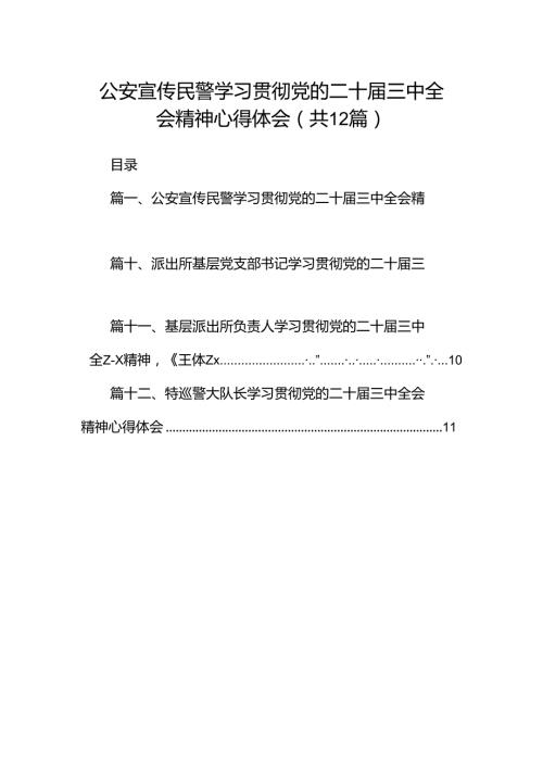 公安宣传民警学习贯彻党的二十三中全会精神心得体会12篇（精选）.docx