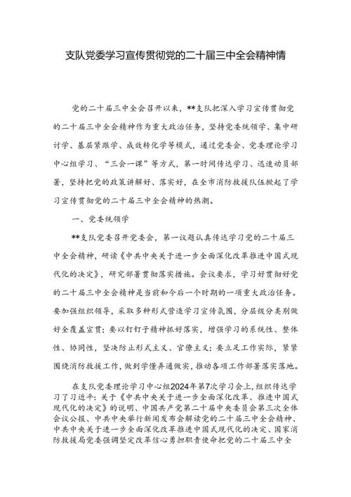 支队党委学习宣传贯彻党的二十三中全会精神情况总结报告.docx