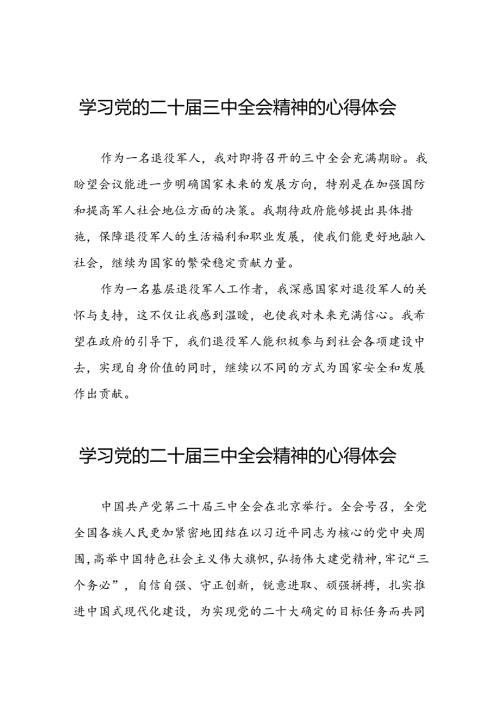 学习2024年党的二十三中全会精神的心得感悟25篇.docx