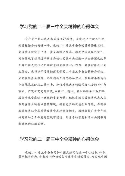学习贯彻2024年二十三中全会精神心得体会交流发言二十七篇.docx