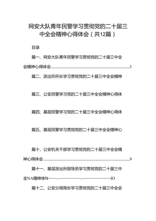 网安大队青年民警学习贯彻党的二十三中全会精神心得体会12篇（精选）.docx