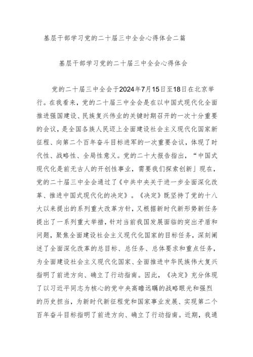 基层干部学习党的二十三中全会心得体会二篇.docx