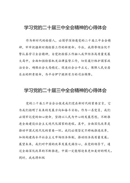深入学习贯彻党的二十三中全会的心得体会三十六篇.docx