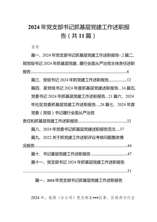 2024年党支部书记抓基层党建工作述职报告（共11篇）.docx