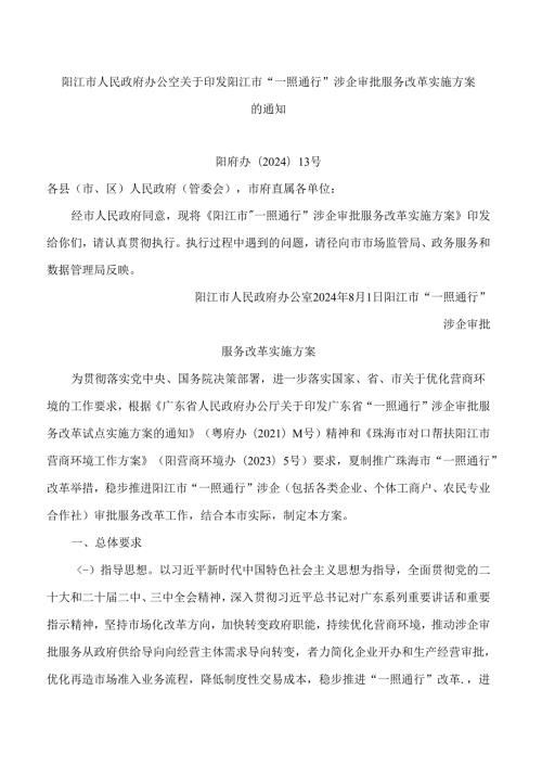 阳江市人民政府办公室关于印发阳江市“一照通行”涉企审批服务改革实施方案的通知.docx