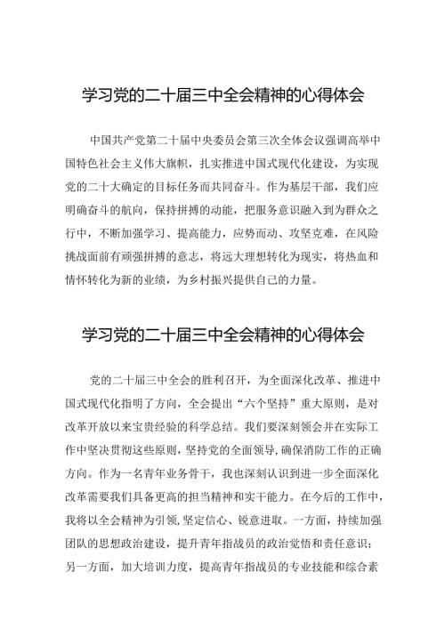 学习二十三中全会公报心得体会发言稿25篇.docx