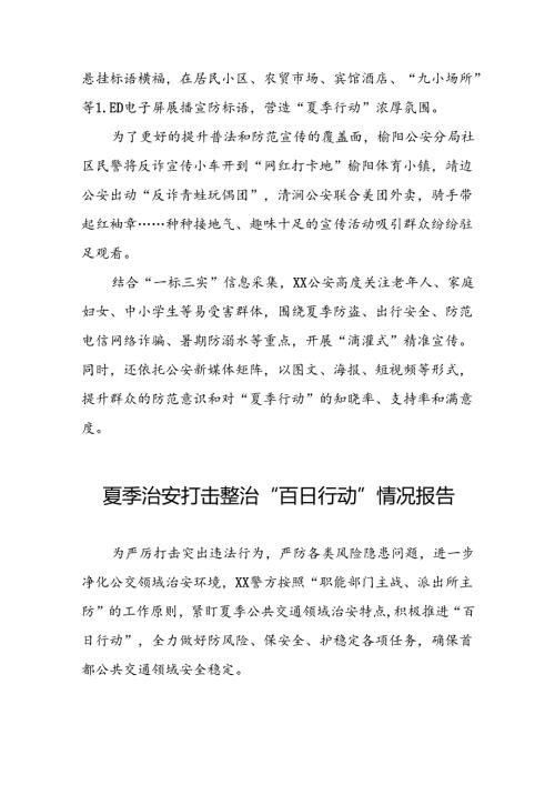 派出所2024年公安夏季治安打击整治行动情况汇报6篇.docx