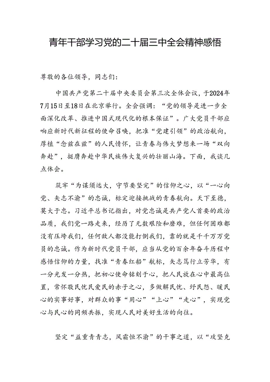 青年干部学习党的二十三中全会研讨发言心得体会4份有考试题库1份有答案.docx_第2页