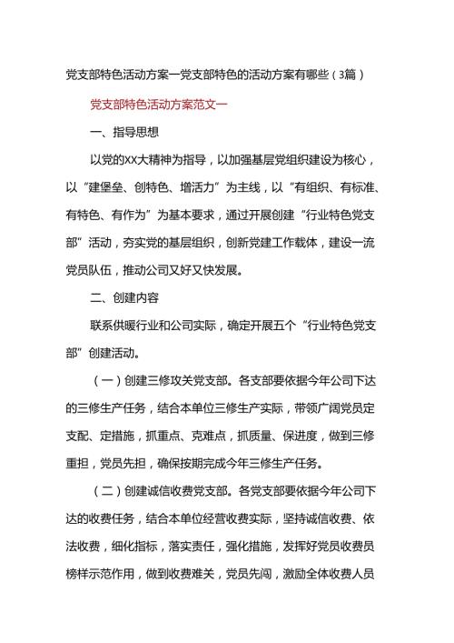 党支部特色精彩活动方案设计党支部特色地精彩活动方案设计有哪些(3篇).docx