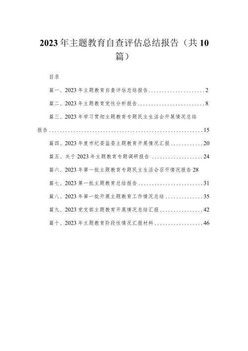 2023年专题自查评估总结报告（共10篇）.docx