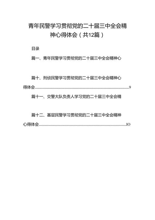 青年民警学习贯彻党的二十三中全会精神心得体会【12篇精选】供参考.docx