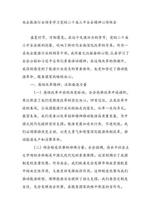 央企国企能源行业领导学习党的二十三中全会精神研讨发言心得体会.docx