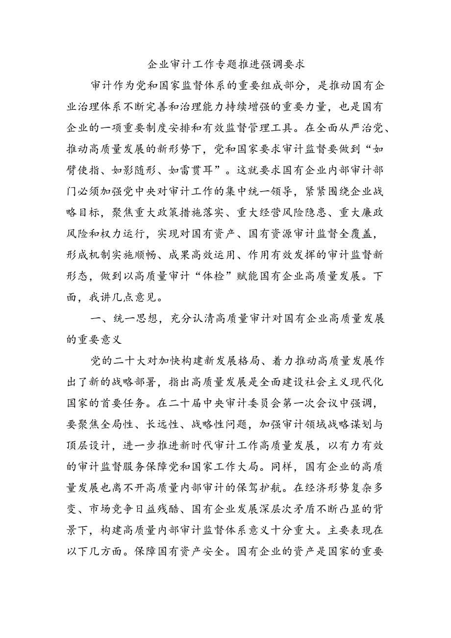 企业审计工作专题推进强调要求.docx_第1页