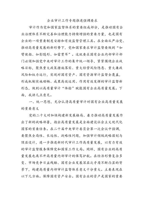 企业审计工作专题推进强调要求.docx