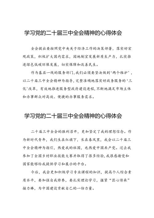 学习党的二十三中全会的心得体会四十四篇.docx