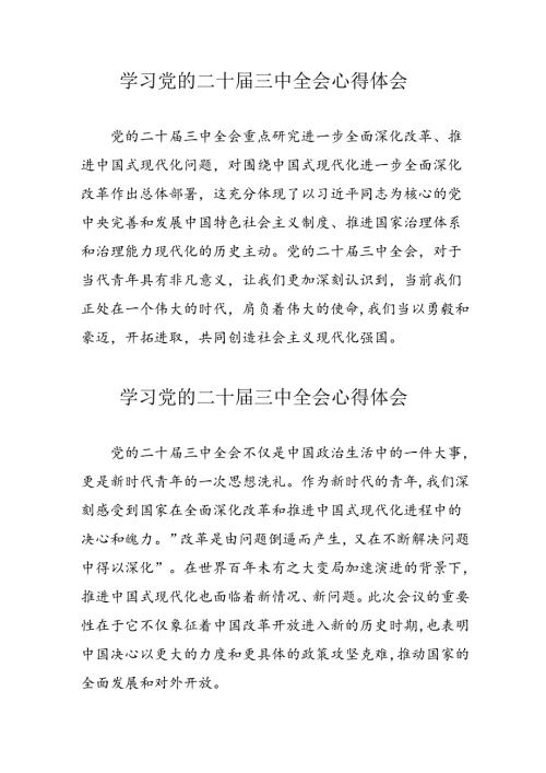 学习2024年党的二十三中全会心得体会 （12份）.docx