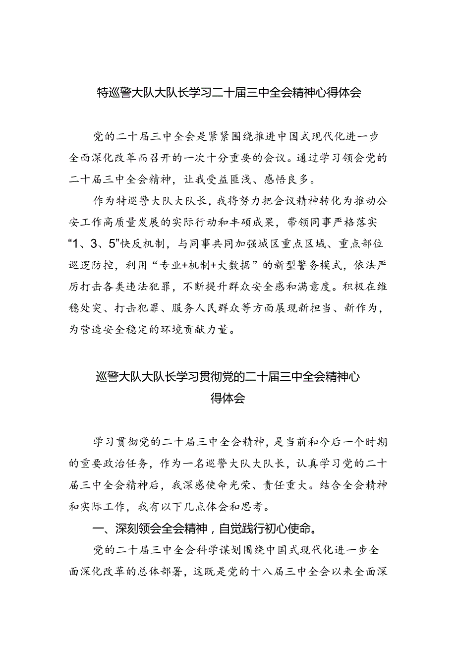 特巡警大队大队长学习二十三中全会精神心得体会8篇供参考.docx_第1页