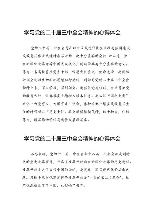 学习党的二十三中全会精神的心得感悟交流发言二十七篇.docx