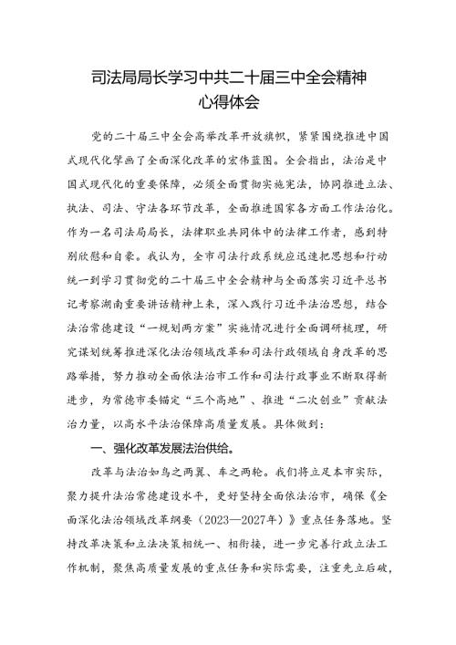 司法局局长学习中共二十三中全会精神心得体会.docx